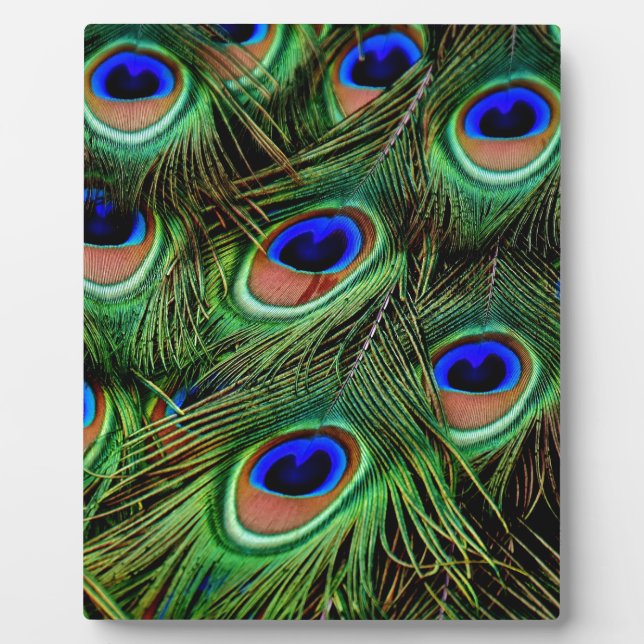 Peacock Feathers Plaque (Front)