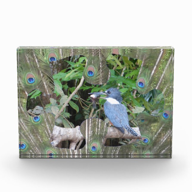 Peacock Feathers Puzzle Piece Photo Block (Front)
