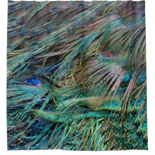 Peacock Feathers Rainbow Colours Shower Curtain