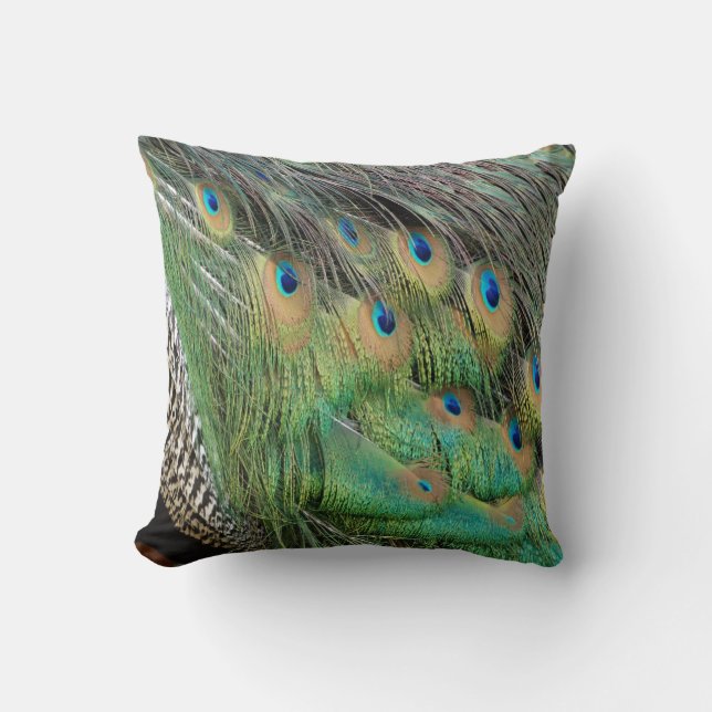 Peacock Feathers Tan Green And blue Colours Cushion (Front)