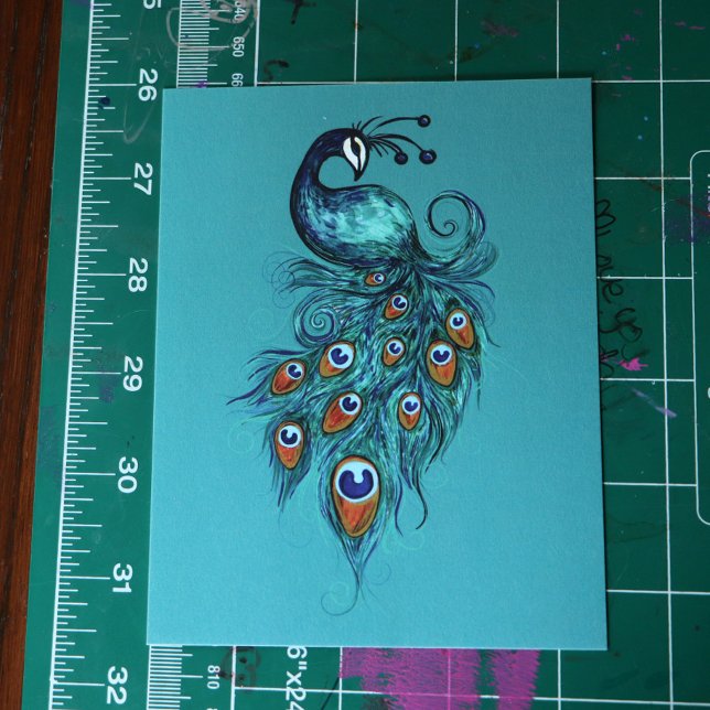 Peacock Feathers Teal Peacocks        Postcard (Creator Uploaded)