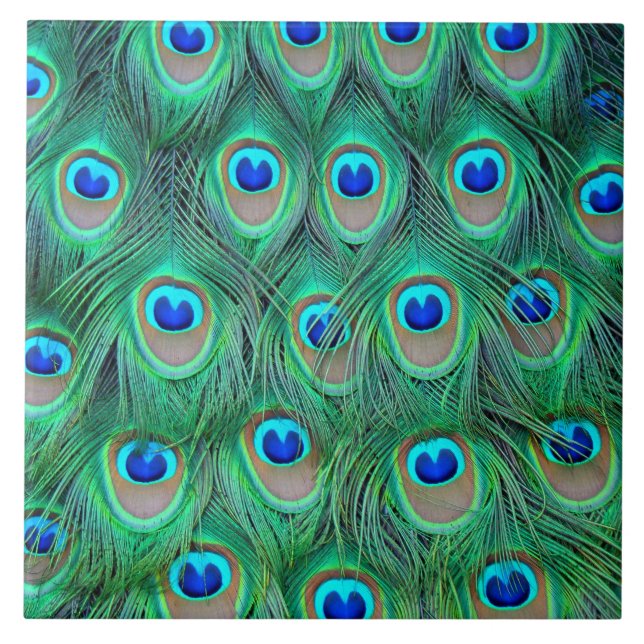 Peacock feathers tile (Front)