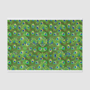 Peacock Feathers Tissue giftwrap Paper