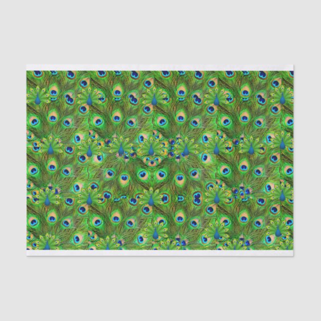 Peacock Feathers Tissue giftwrap Tissue Paper (Front)