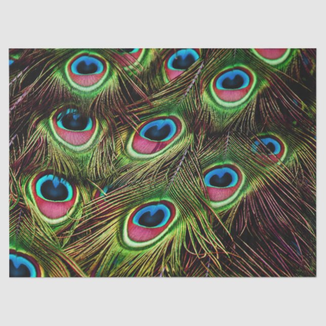 peacock feathers tissue paper (Front)