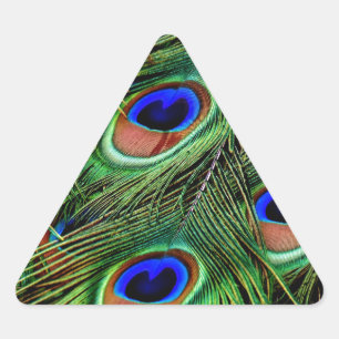 Peacock Feathers Triangle Sticker