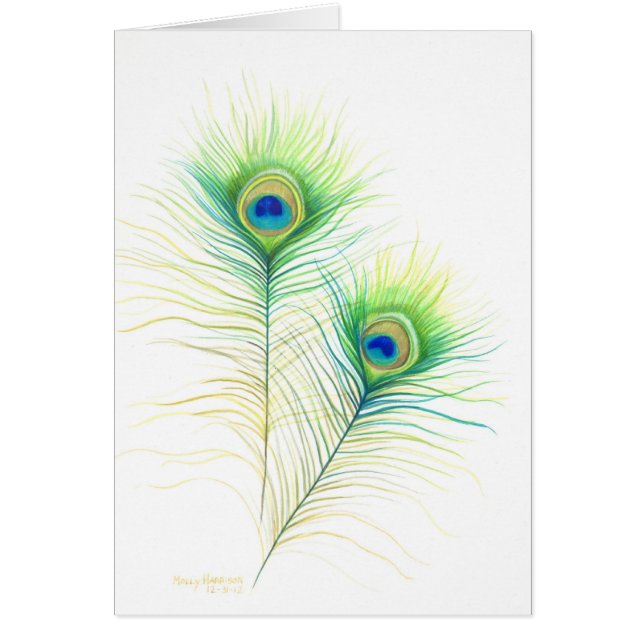 Peacock Feathers Watercolor Illustration (Front)