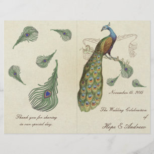 Peacock Feathers Wedding Program