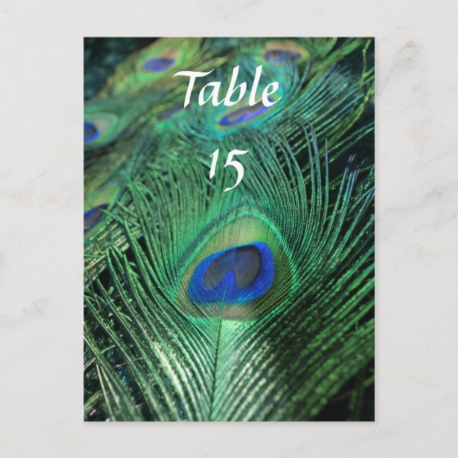 Peacock Feathers Wedding Table Numbers Postcard (Front)