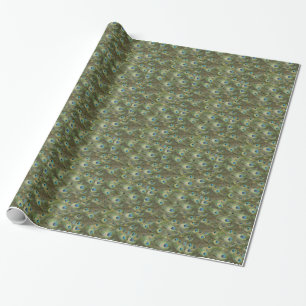 Peacock Feathers Wrapping Paper