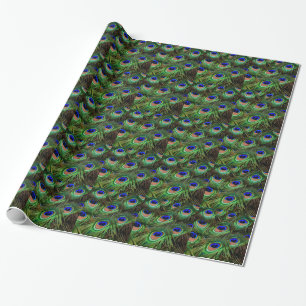Peacock Feathers Wrapping Paper