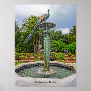 Peacock Fountain & Rose Garden in Winter Park FL Poster