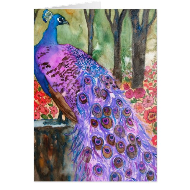 Peacock Garden (Front)