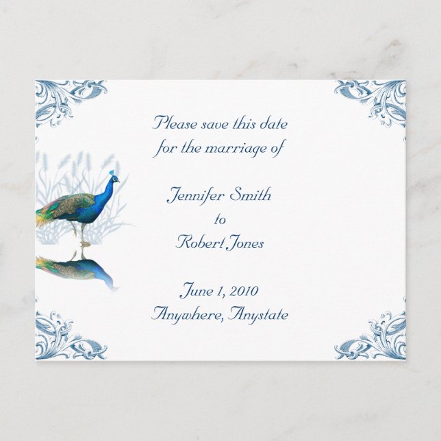Peacock Garden Save the Date Announcement Postcard (Front)
