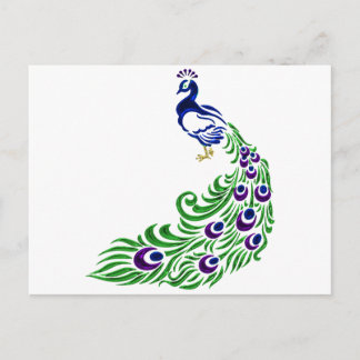 Peacock Gifts Postcard