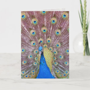Peacock Greeting Card