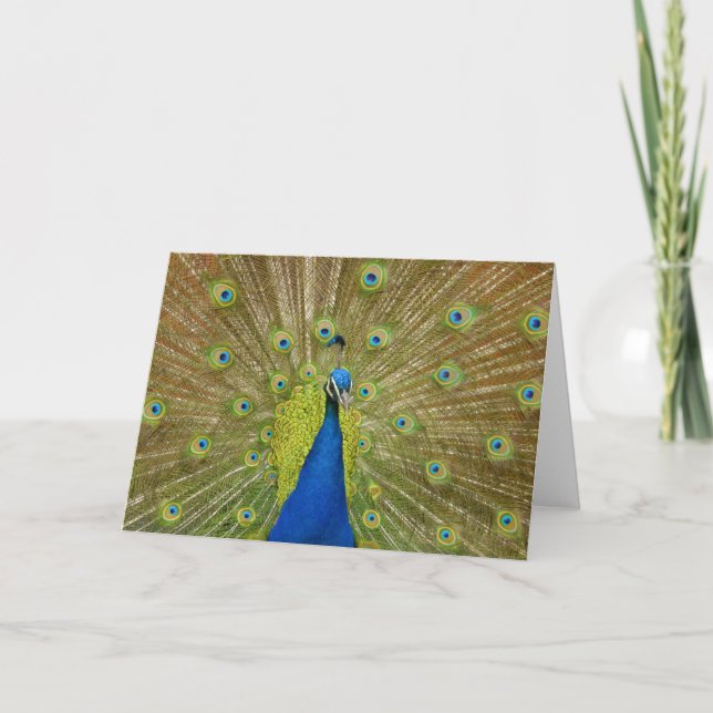 Peacock Greeting Card (Front)