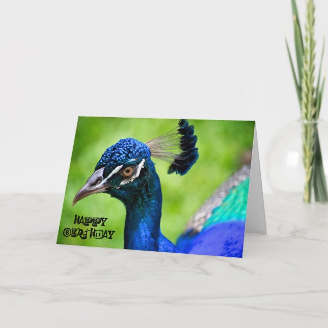 Peacock Happy Birthday Card (Front)