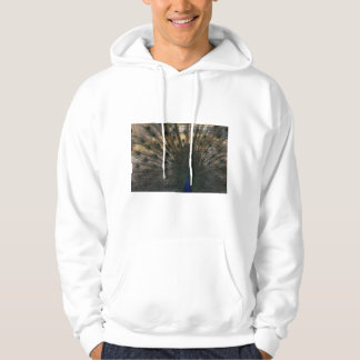 Peacock Hoodie