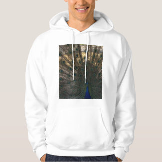 Peacock Hoodie