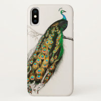 Peacock Illustration Vintage Art Print