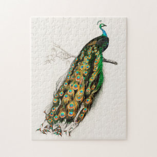Peacock Illustration Vintage Art Print Jigsaw Puzzle