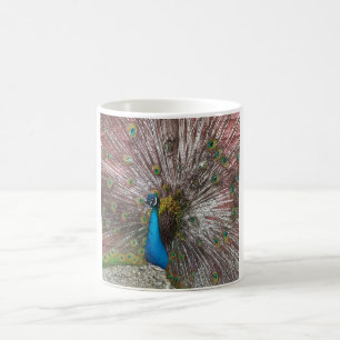 Peacock Image Coffee Mug