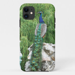 Peacock in A Garden  iPhone SE case