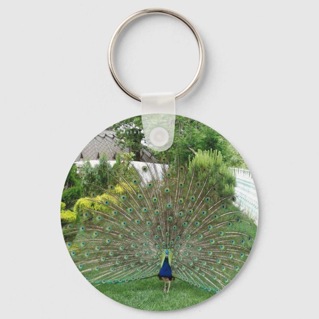 Peacock in a Garden   Key Ring (Front)