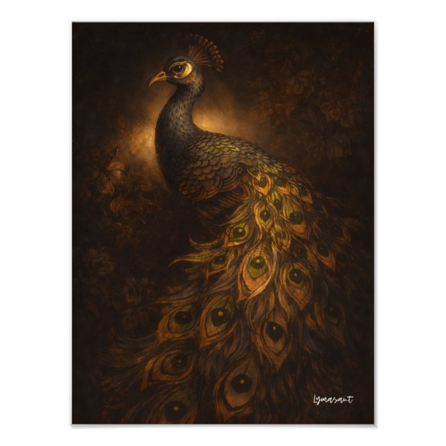 Peacock in Baroque Light Photo Print (Front)