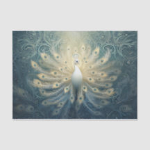 Peacock in Bloom, White Feathers, Elegance