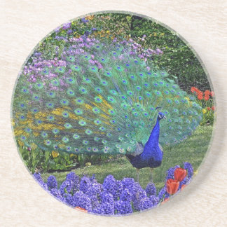 Peacock in Fowers #2 Coaster