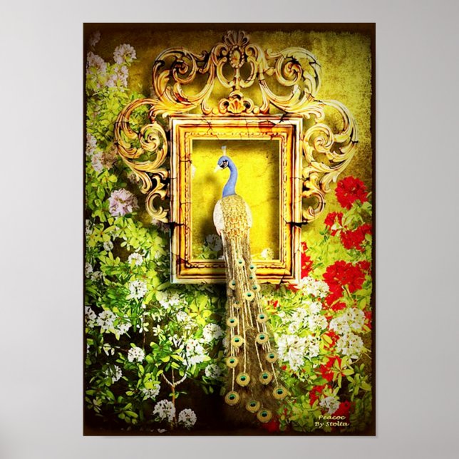 peacock in frame poster FROM 14.95 (Front)