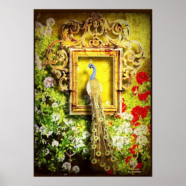 peacock in frame poster FROM 14.95 (Front)