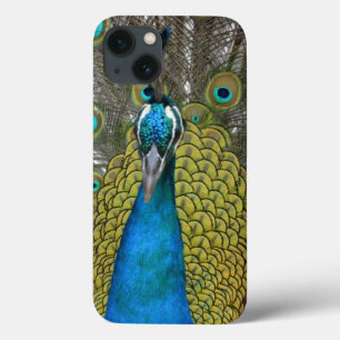 Peacock in Kauai Hawaii iPhone 13 Case