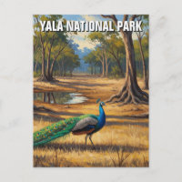 Peacock in Sri Lanka Yala National Park Travel