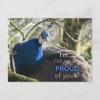 Peacock in Tree PROUD of You! Postcard