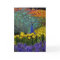 Peacock in Tulips