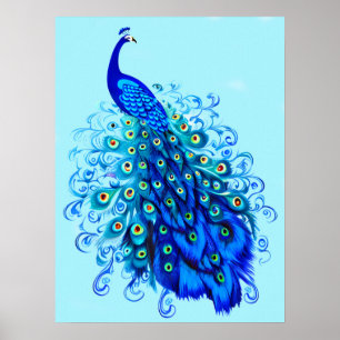 Peacock in Turquoise and Cobalt Blue Poster