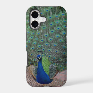 Peacock iPhone 5 Case