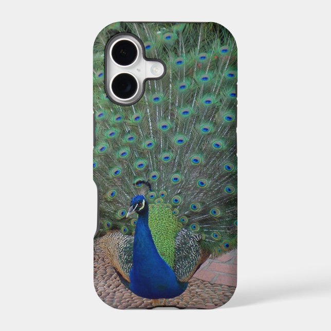 Peacock iPhone 5 Case (Back)