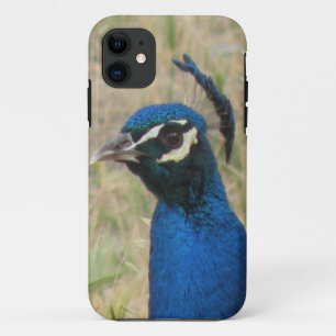 Peacock iPhone 5 Case