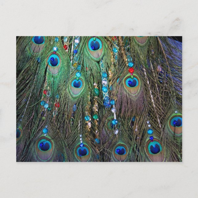 Peacock Jewelery Postcard (Front)
