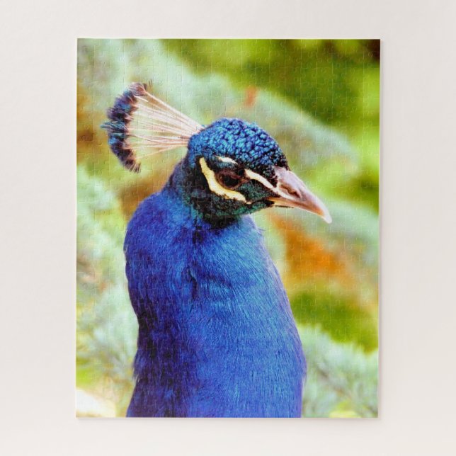 PEACOCK  JIGSAW PUZZLE (Vertical)