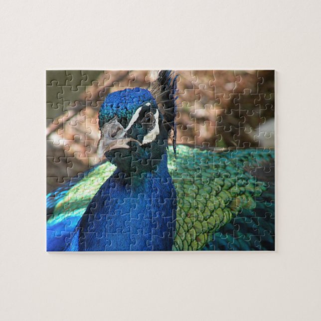 Peacock Jigsaw Puzzle (Horizontal)