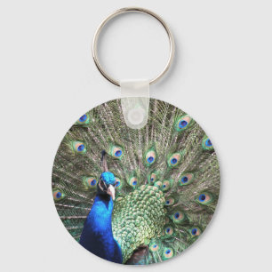 Peacock key chain