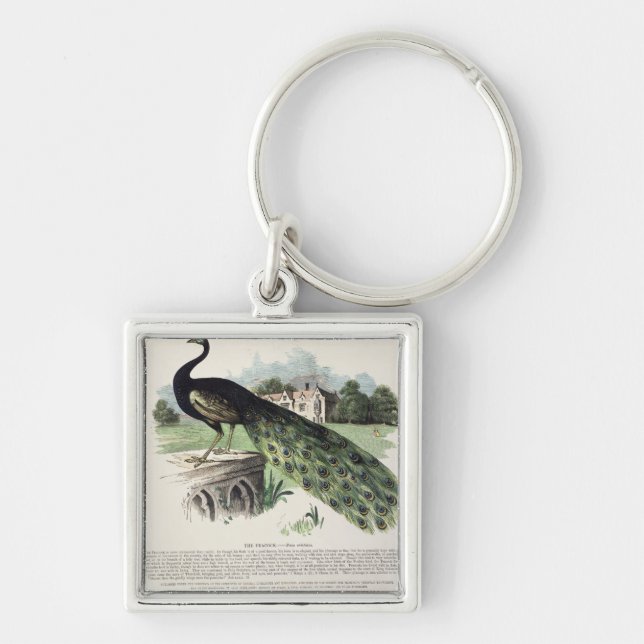 Peacock Key Ring (Front)