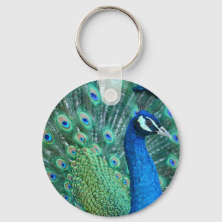 Peacock Key Ring