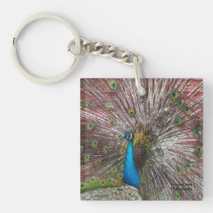 Peacock Key Ring