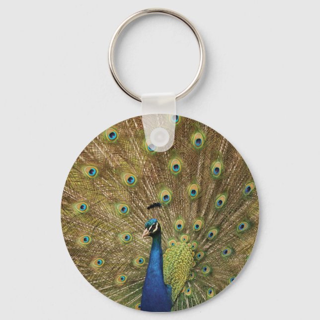 peacock key ring (Front)